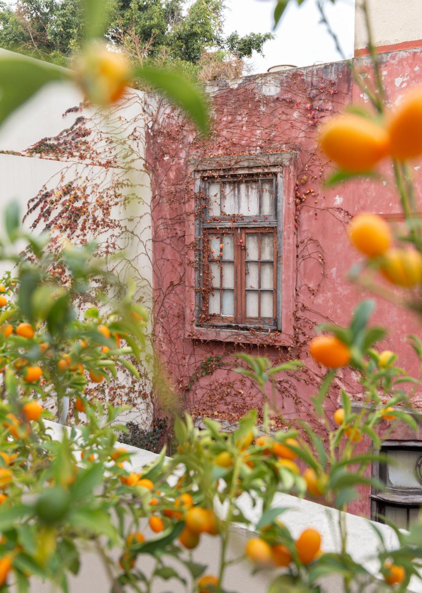 Casa Chic Palermo Soho Hotel Буенос Айрес Екстериор снимка