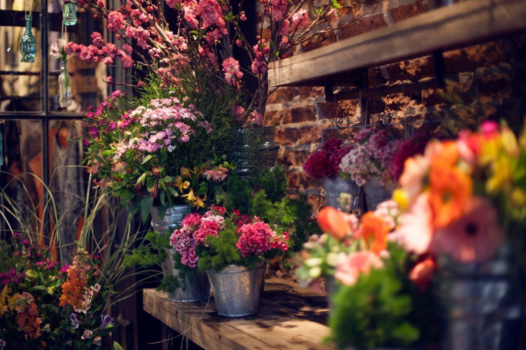 Casa Chic Palermo Soho Hotel Буенос Айрес Екстериор снимка